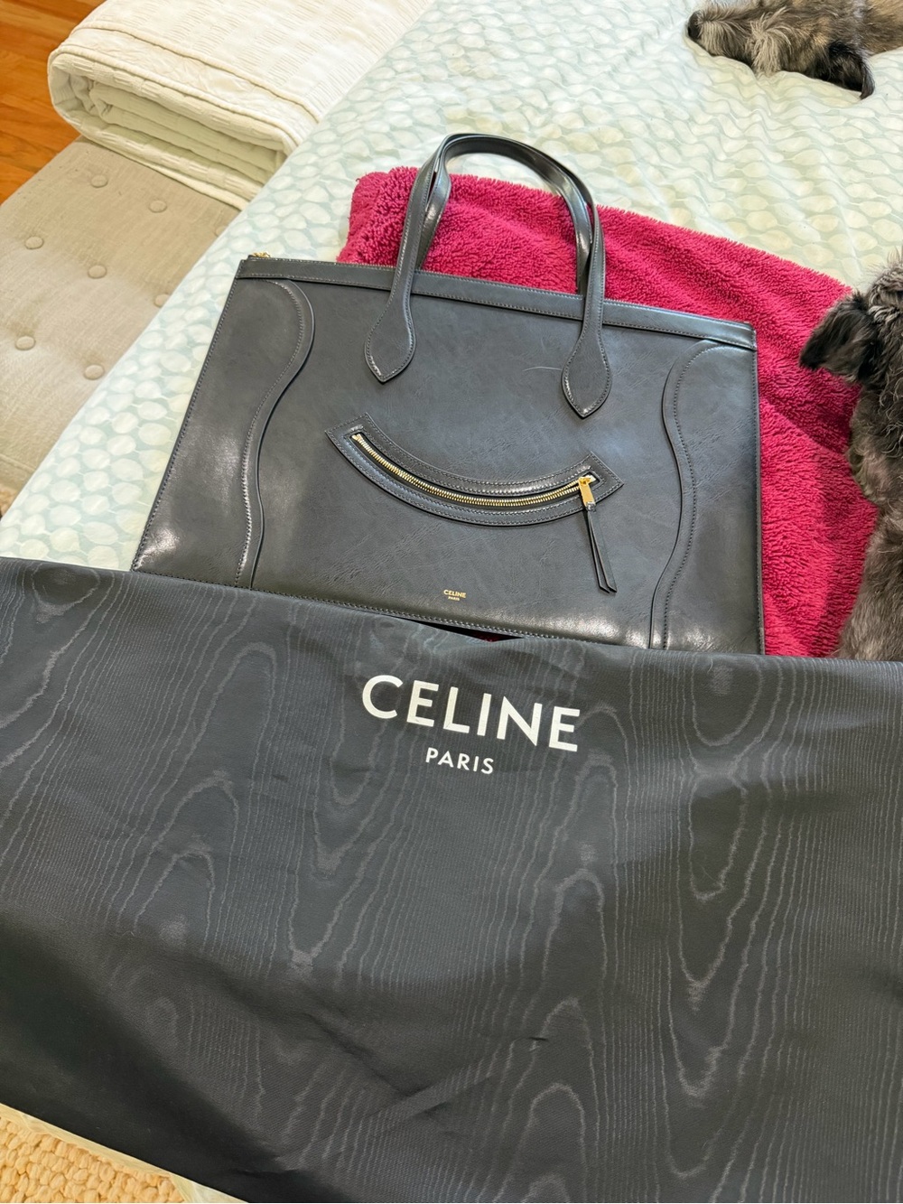 Celine Flat Leather Luggage Tote Bag, Black LIKE NEW